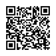 QR Code (код быстрого отклика)