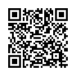 QR Code (код быстрого отклика)