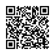 QR Code (код быстрого отклика)