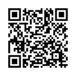 QR Code (код быстрого отклика)